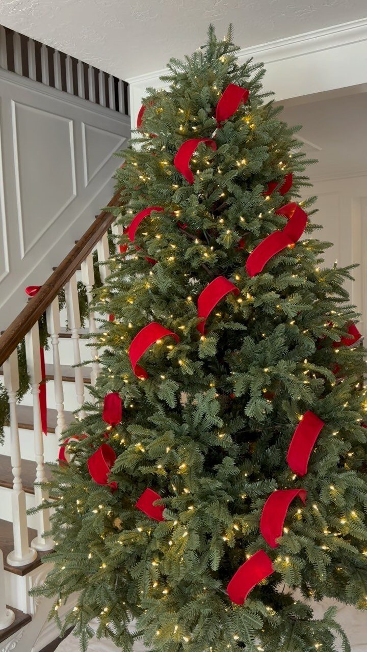All Red Christmas Tree Decorations: 7 Ideas for Monochrome Style 3 Green Christmas tree decorated with warm lights and wide red velvet ribbons spiraling around branches.