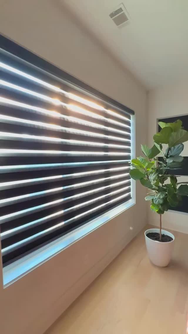Zebra shades with alternating sheer and dark stripes covering a large window in a bright room.