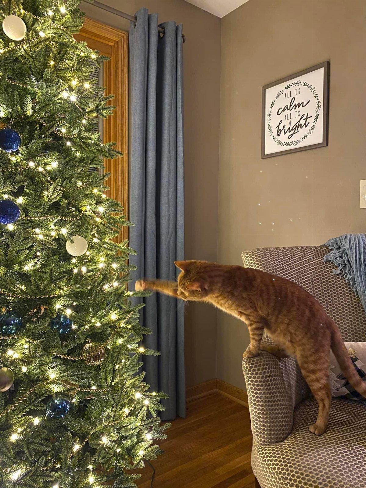 Orange tabby cat stretching from a sofa to touch a decorated Christmas tree.