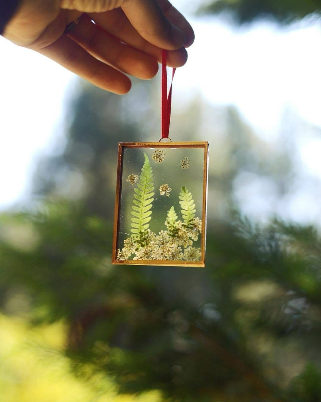 7 Ideas for Decorating Clear Ornaments with Glitter, Crayon & More 3 A hand holding a gold framed ornament filled with ferns and small white flowers.